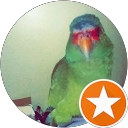 Alex C. profile picture